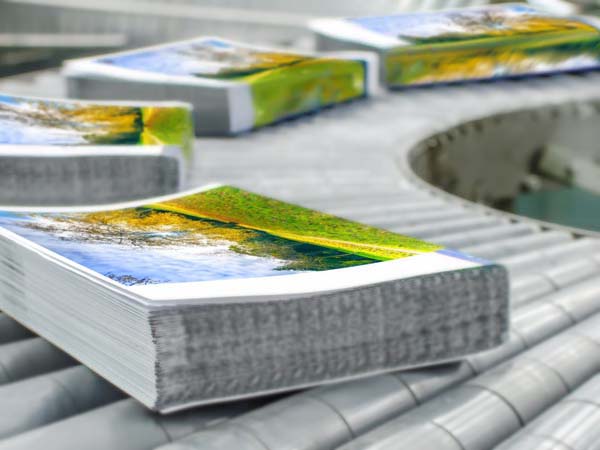 上海胜游体育登录厂家