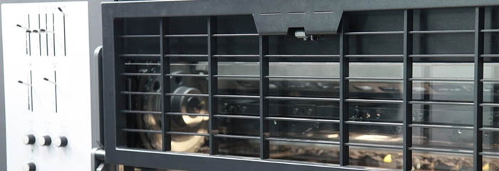 你需要收集哪些图片来建立家谱?(图1) 你需要收集哪些图片来建立家谱?(图1)