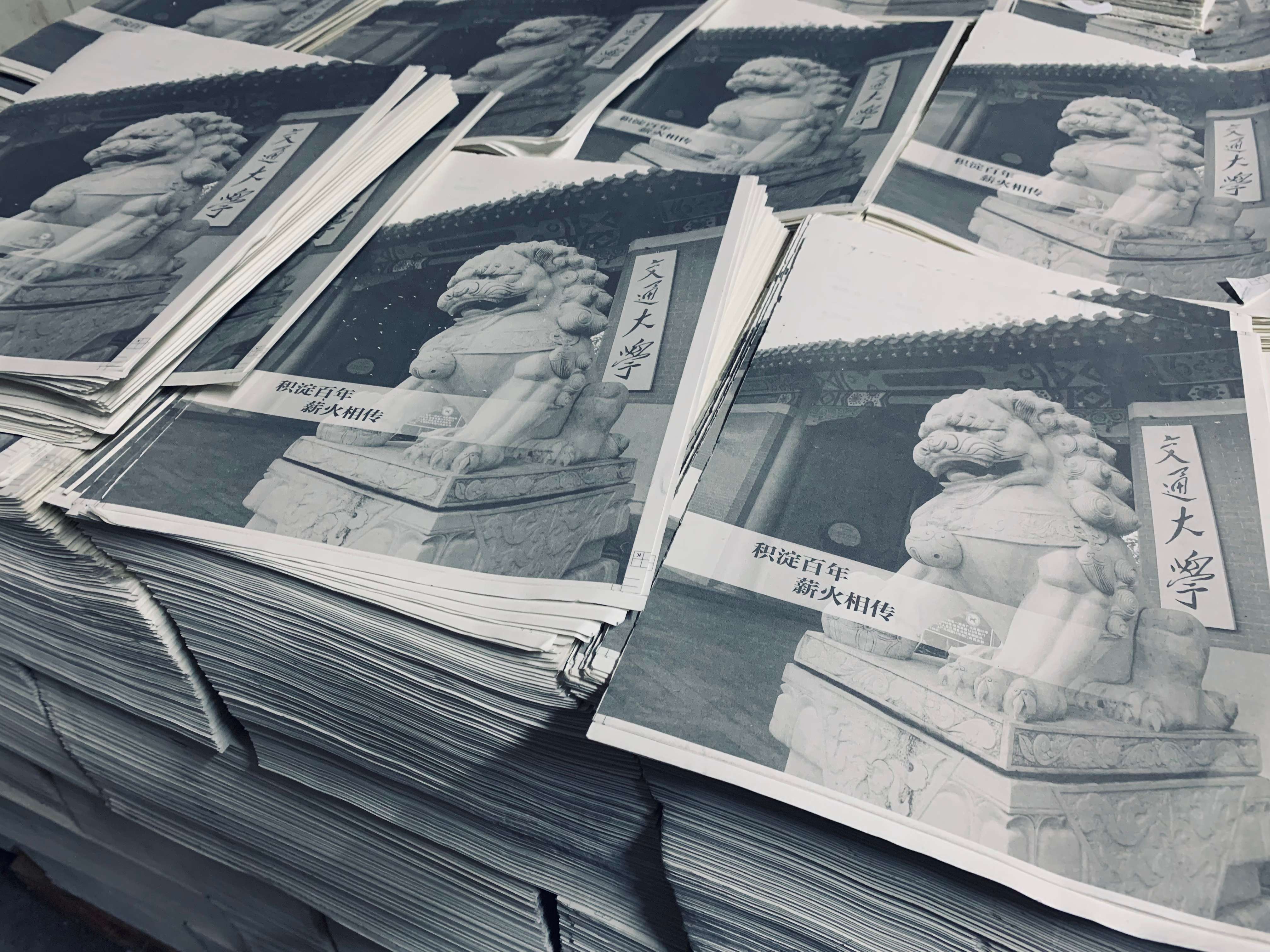 上海胜游体育登录公司工艺大全：专业胜游体育登录厂的核心技